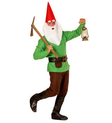 Déguisement Nain Vert Adulte / Costume Lutin Vert Homme / La Maison Du Déguisement