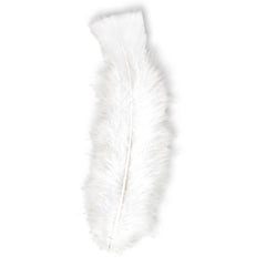 Sachet de 50 plumes blanches / 50 plumes blanches / La Maison Du déguisement