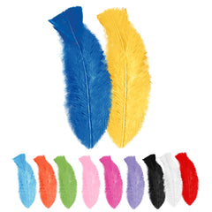 Sachet de 50 plumes Multicolores / 50 plumes Multicolores / La Maison Du Déguisement