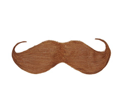 Moustache Anglaise Marron / La Maison Du déguisement