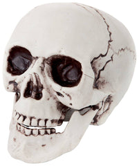 Crâne à Poser / Faux Crâne / Tête De Mort en PVC / Crâne En Plastique / La Maison Du Déguisement