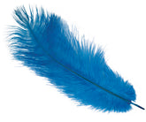 Plume d'autruche Bleu / Plume autruche Bleu / La Maison Du Déguisement