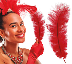 Plume d'autruche Rouge / Plume autruche Rouge / La Maison Du Déguisement