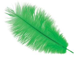 Plume d'autruche Vert / Plume autruche Vert / La Maison Du Déguisement