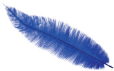 Plume d'autruche GM Bleu / Plume autruche GM Bleu / La Maison Du Déguisement