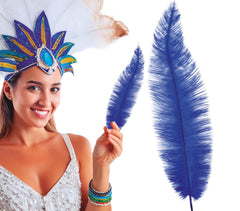 Plume d'autruche GM Bleu / Plume autruche GM Bleu / La Maison Du Déguisement