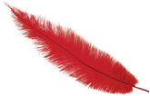 Plume d'autruche GM Rouge / Plume autruche GM Rouge / La Maison Du Déguisement