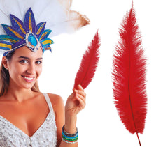Plume d'autruche GM Rouge / Plume autruche GM Rouge / La Maison Du Déguisement