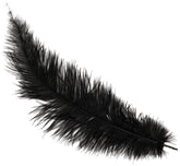 Plume d'autruche GM Noir / Plume autruche GM Noir / La Maison Du Déguisement