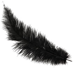 Plume d'autruche GM Noir / Plume autruche GM Noir / La Maison Du Déguisement