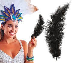 Plume d'autruche GM Noir / Plume autruche GM Noir / La Maison Du Déguisement