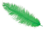 Plume d'autruche GM Vert / Plume autruche GM Vert / La Maison Du Déguisement