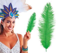 Plume d'autruche GM Vert / Plume autruche GM Vert / La Maison Du Déguisement