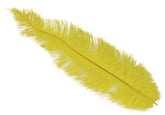 Plume d'autruche GM Jaune / Plume autruche GM Jaune / La Maison Du Déguisement