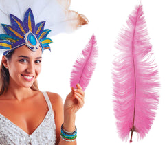 Plume d'autruche GM Rose / Plume autruche GM Rose / La Maison Du Déguisement