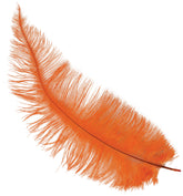 Plume d'autruche GM Orange / Plume autruche GM Orange / La Maison Du Déguisement