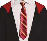 Cravate sorcier / Cravate H Potter Magicien / La Maison Du Déguisement