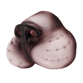 Nez de Chat / La Maison Du Déguisement