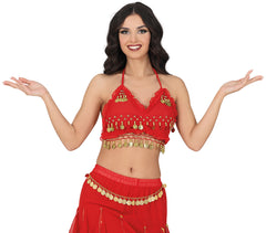 Ceinture En Coin Métallique Belly Danse / Ceinture Orientale / Ceinture Princesse Jasmine En Coin Métallique / La Maison Du Déguisement