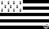 Drapeau Bretagne, 90x150 CM / Drapeau Breton / La Maison Du Déguisement