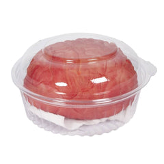 Cerveau Sanglant / Faux Cerveau Emballé / La Maison Du Déguisement