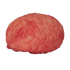 Cerveau Sanglant / Faux Cerveau Emballé / La Maison Du Déguisement