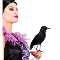 Corbeau à Plumes / Corbeau Noir GM / La Maison Du Déguisement