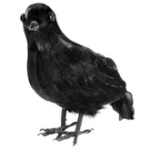 Corbeau à Plumes / Corbeau Noir GM / La Maison Du Déguisement