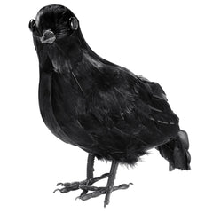 Corbeau à Plumes / Corbeau Noir GM / La Maison Du Déguisement