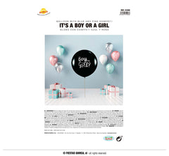 Ballon it's a boy or it's a girl / La Maison Du Déguisement