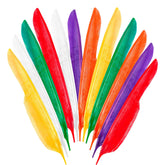 Sachet de 12 Plumes Indien Multicolores / 12 plumes Indienne Multicolores / La Maison Du Déguisement