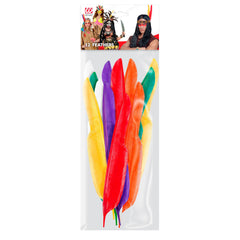 Sachet de 12 Plumes Indien Multicolores / 12 plumes Indienne Multicolores / La Maison Du Déguisement