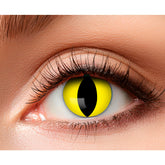 Lentilles Chat Jaune Semaine / Paire Lentilles De Semaine Oeil De Chat Jaune / La Maison Du Déguisement