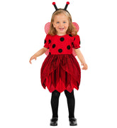 Déguisement Coccinelle Fille Enfant / Costume Coccinelle Fille Enfant / La Maison Du Déguisement