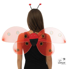 Set Ailes Coccinelle / Kit Ailes Coccinelle / La Maison Du Déguisement
