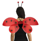 Set Ailes Coccinelle / Kit Ailes Coccinelle / La Maison Du Déguisement