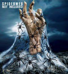 Araignées En Plastique Lot de 20 / 20 araignées PM / La Maison Du Déguisement