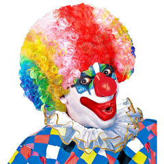 Perruque Clown Multicolore / Perruque Clown frisée / La Maison Du Déguisement