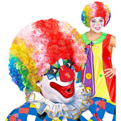 Perruque Clown Multicolore / Perruque Clown frisée / La Maison Du Déguisement