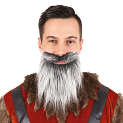 Barbe Avec Moustache Gris / Moustache et Barbe Raide Gris / La Maison Du Déguisement