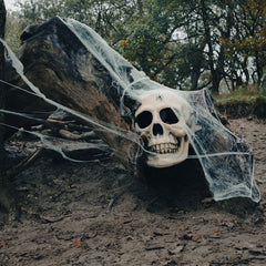 Toile d’Araignée Blanche 500g / Toile d araignée 500g / La Maison Du Déguisement