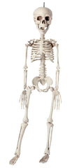 Squelette à Suspendre 76cm / La Maison Du Déguisement
