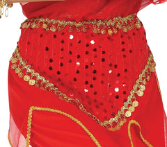 Déguisement Indienne Femme Adulte / Costume Bollywood Femme / Costume Hindoue Indienne BM / La maison Du Déguisement