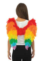 Ailes Ange arc-en-ciel / Ailes en Plumes Multicolores / La Maison du Déguisement