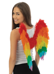 Ailes Ange arc-en-ciel / Ailes en Plumes Multicolores / La Maison du Déguisement