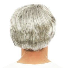Perruque Courte Raide Gris / Perruque Nick Gris / La Maison du Déguisement