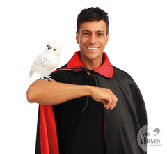 Chouette Blanche / Chouette Blanche De Sorcier / La maison Du Déguisement