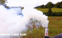Fumigène à Main Blanc / FUMIGENE A MAIN 45 SEC BLANCE / La Maison Du Déguisement