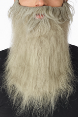 Barbe Longue gris / Longue Barbe Grise / La Maison Du Déguisement