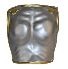 Plastron Romain / Armure Centurion Gladiateur / Cuirasse Grec / la maison Du Déguisement